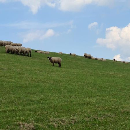 Haus Reihernest Sehestedt  Zewnętrze zdjęcie
